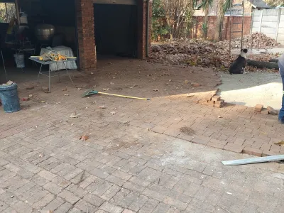 Redo paving after taking out roots